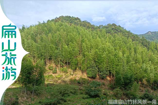 閩西竹林風(fēng)景區