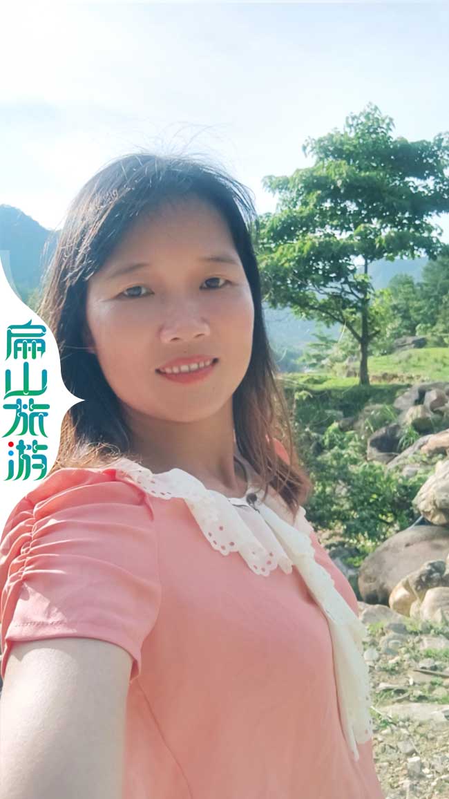 福建扁山梧桐樹(shù)美景