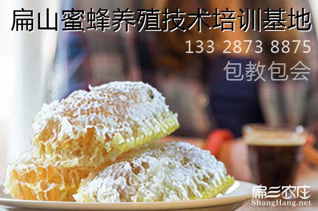福建蜜蜂養殖技術(shù)培訓