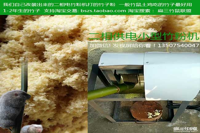 竹粉展示