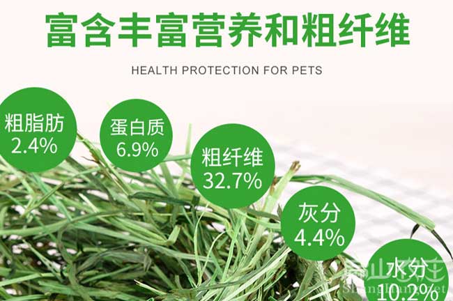 江西竹鼠養殖
