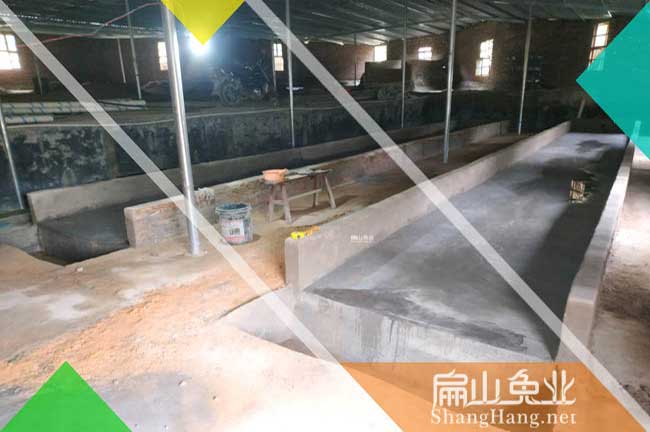 竹鼠養殖基地參考