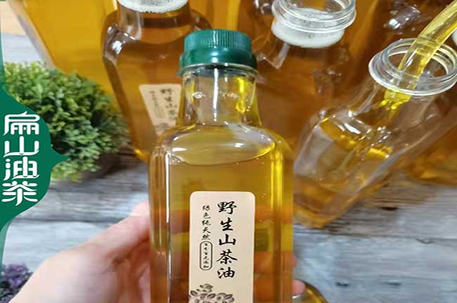 中國廣東野生茶油銷(xiāo)路 廣西茶籽收購湖南四川油茶基地-扁山油茶