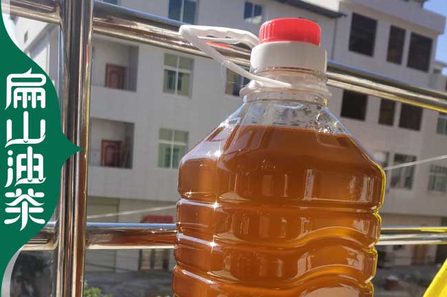 邵陽(yáng)茶油批發(fā)
