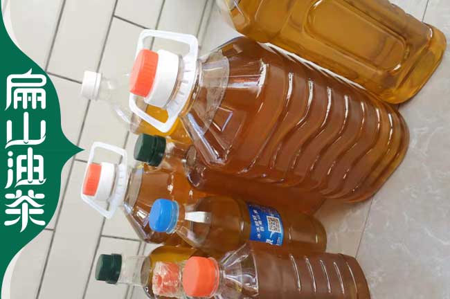 長(cháng)林茶油批發(fā)