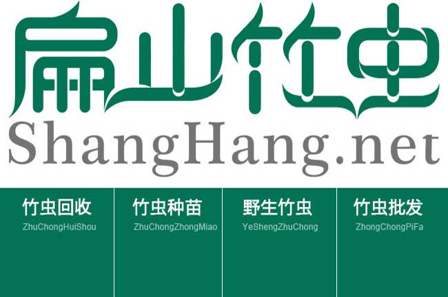 欽州竹蟲(chóng)養殖合作加盟回收加工公示 欽州竹蟲(chóng)種苗-扁山竹蟲(chóng)