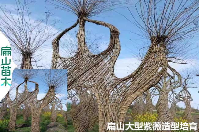 重慶紫薇大門(mén)造型