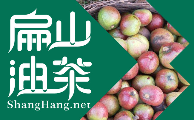 廣西油茶網(wǎng)