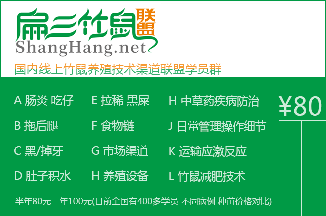 竹鼠養殖學(xué)員群