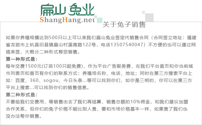 龍巖竹鼠養殖加盟
