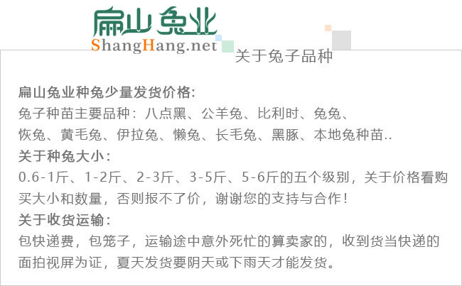 龍巖竹鼠品種
