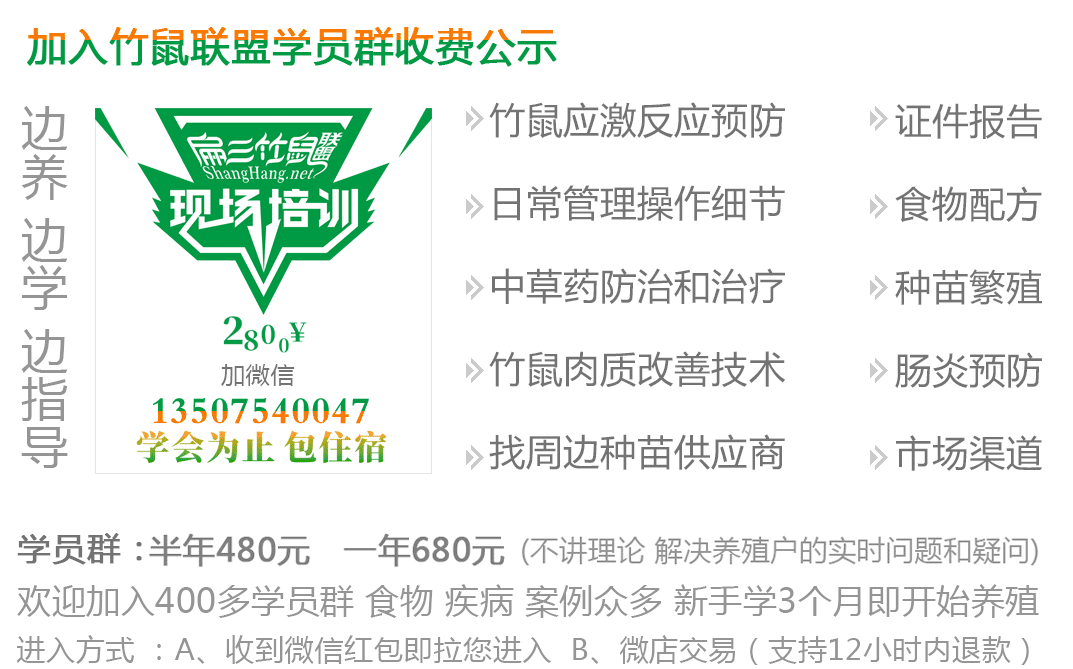 江蘇竹鼠養殖現場(chǎng)培訓